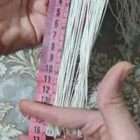 قالیچه دستبافت سالاری|فرش|تبریز, |دیوار