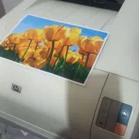 تعدادی پرینتر لیزری رنگی و سیاه و سفید