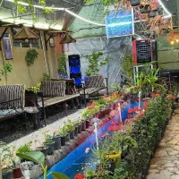 سوئیت اجاره ای راین