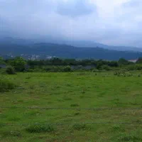 متقاضی زمین مناسب مشارکت