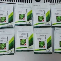 بذر b32 پرو سفارش امارات