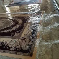 قالیشویی فرش قرمز56160010