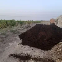کود گاوی و گوسفندی نرم نرم پوسیده|خدمات باغبانی و درختکاری|قم, باسکول|دیوار