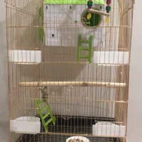 قفس پرنده|لوازم جانبی حیوانات|ری, شهرری|دیوار