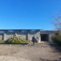 استخدام کارگر ساده قالیشویی