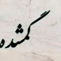 مقداری پول گم شده