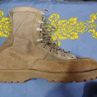 پوتین آمریکایی