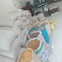 دان مرغ تخمگذار،گوشتی،جوجه