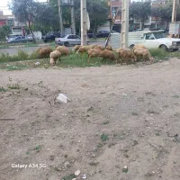 پارس‌اباد خ‌شورا