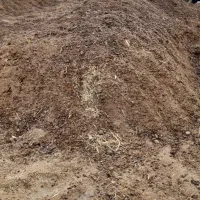 کود گوسفند