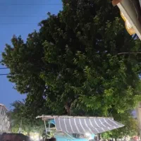 استاد کار و کارگر ساده