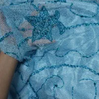 لباس مجلسی سنگ دوزی|لباس|شیراز, ابیوردی|دیوار