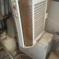 هود