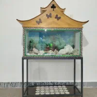 آکواریوم با لوازم معاوضه با جوجه طوطی گرینچیک