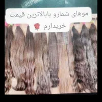 کوهنوردی نیه