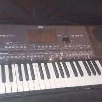 ارگ 600