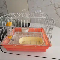 قفس خرگوش با تجهیزات|موش و خرگوش|زنجان, |دیوار