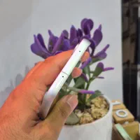 S23 Fe 5g باشرایط اقساط|موبایل|سبزوار, ابوریحان|دیوار