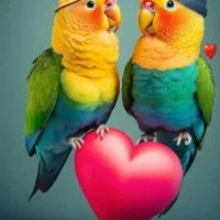 نیازمند خانه اجاره ای کوچک واسه زوج دونفره هستم