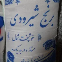 برنج شیرودی