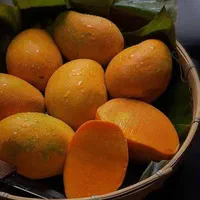 انبه کیوی زردآلو زرشک بلوبری به گلابی|خدمات باغبانی و درختکاری|زابل, |دیوار