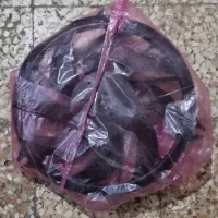 موتور فن رادیتور جلو ۲۰۶ و ۲۰۷|قطعات یدکی و لوازم جانبی|آبادان, |دیوار