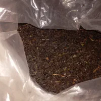 چای اصیل لاهیجان