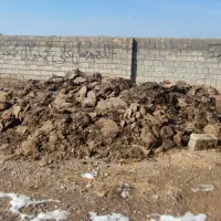 کود بوقلمون