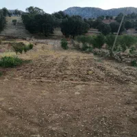 زمین بمساحت 1300 مترمربع جهت خانه باغ یا طرح.|فروش زمین و ملک کلنگی|کارزان, |دیوار