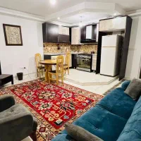 آپارتمان-یک-خوابه-طبیعت-و-رزرو-قسطی-در-جاباما