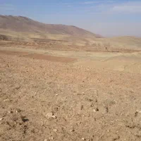 فروش تعدادی کود سفید