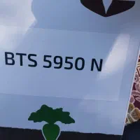 بذر چقندر بتاسیل