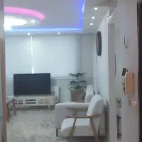 ملک-شیک-تاپ