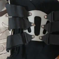 کمربند معاوضه با سهره قناری عروس هلندی اکواریم
