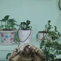 پتوی عالی با قیمت مناسب