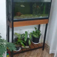 آکواریوم به همراه دستگاه تصفیه و غذای ماهی