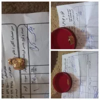 همه نو هستند وزیبا بعلت نیاز به پول فوری