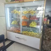 تولید وفروش مستقیم انواع یخچال سوپری و...|فروشگاه و مغازه|بجنورد, |دیوار