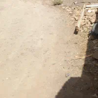 اجاره سوله ۸۰متر بنا|اجارهٔ مغازه و غرفه|قنوات, |دیوار