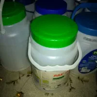 پانزده عدد دبه دو کیلویی فقط 60تومان|ظروف نگهدارنده، پلاستیکی، یک‌بارمصرف|سمنان, |دیوار