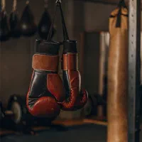 هنرهای رزمی رینگی