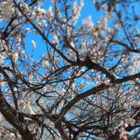 آپارتمان 38متری،دسترسی به مترو،اتوبان،خیابان اصلی