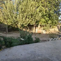 زمین مسکونی|فروش زمین و ملک کلنگی|خزل, |دیوار