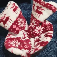 فروش پاپوش زنانه گوشگیر