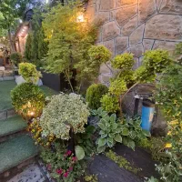 خدمات باغبانی