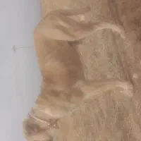 این سگ گم شد