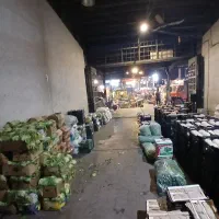 فروش فرنگیجات به صورت عمده وخرده‌|عمده‌فروشی|تهران, میدان میوه و تره‌بار مرکزی|دیوار