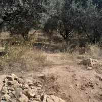 آدرس گیلان لوشان وستای برند زیر بیورزین|فروش زمین و ملک کلنگی|لوشان, |دیوار