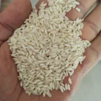 برنج عنبربو شوشتر