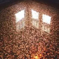 پرشین گروت.پروگریت.گروت .گروت پلاس.|عمدهفروشی|اصفهان, ملکشهر|دیوار